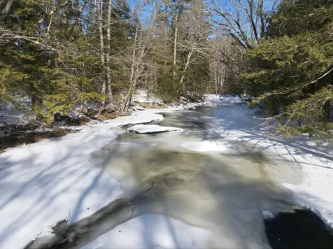 67 Morse Lane Warner NH 03278