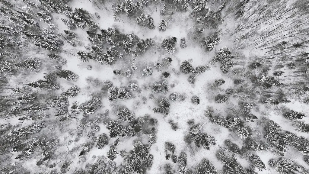 1090 Center Road Albany VT 05845