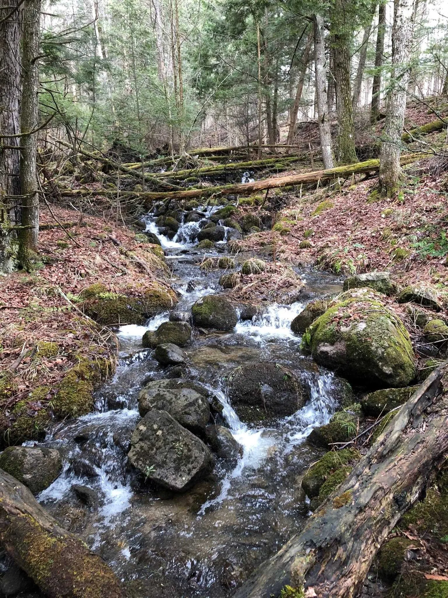 1090 Center Road Albany VT 05845