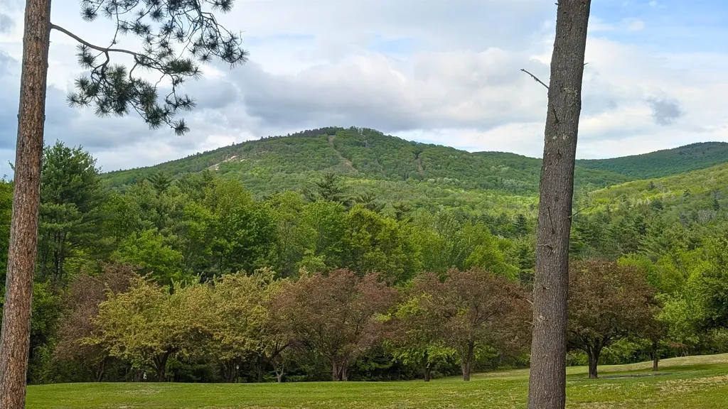 65 Bear Puddin Lane Conway NH 03860