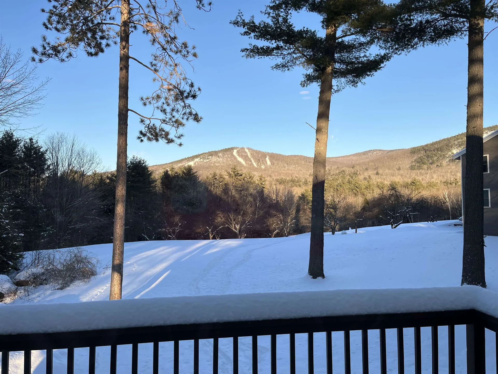 65 Bear Puddin Lane Conway NH 03860