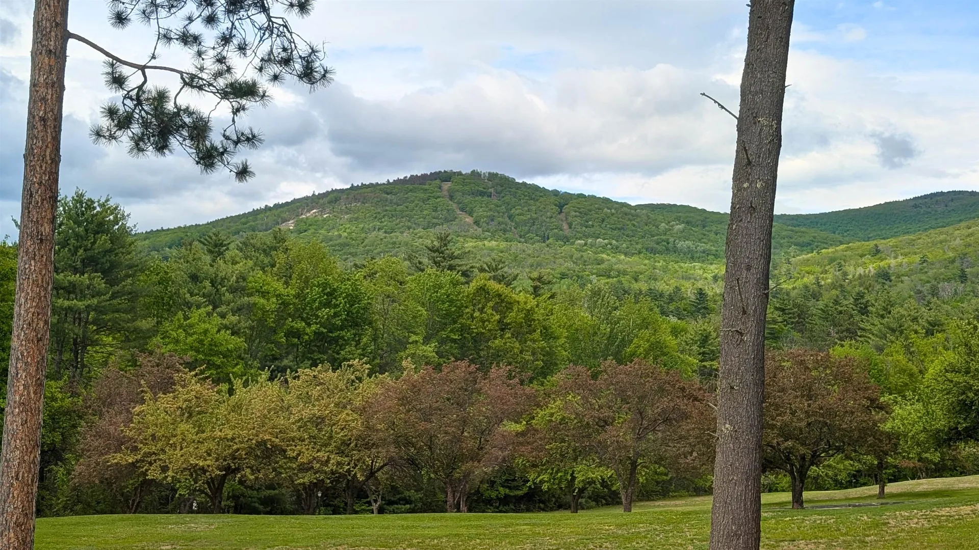65 Bear Puddin Lane Conway NH 03860
