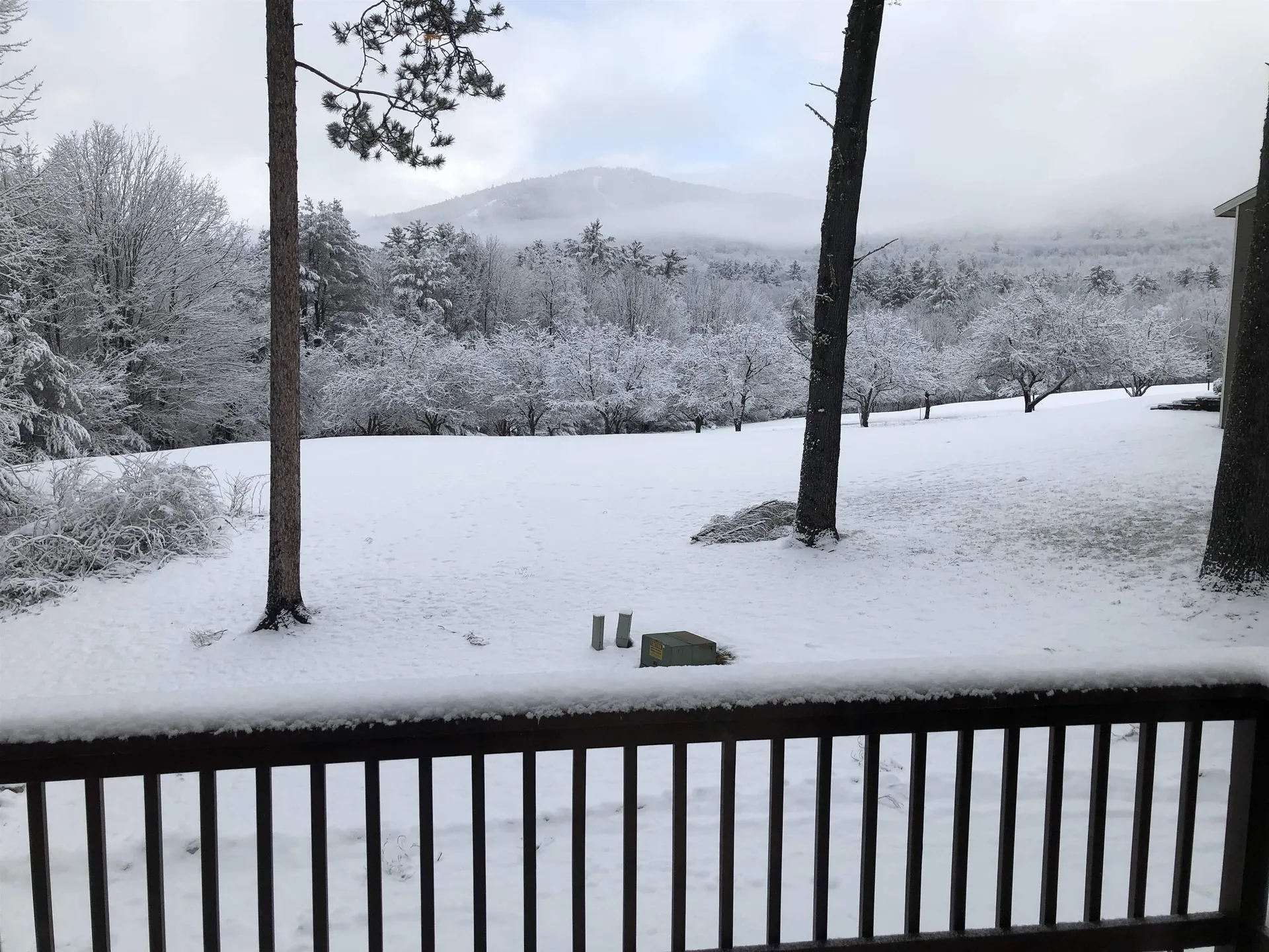 65 Bear Puddin Lane Conway NH 03860