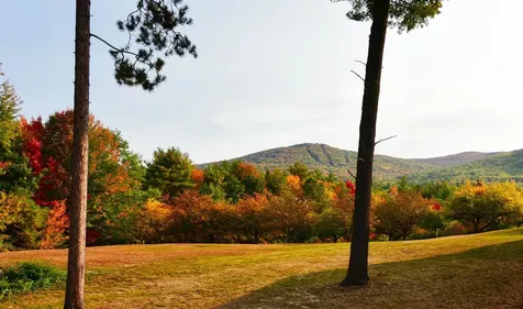 65 Bear Puddin Lane Conway NH 03860