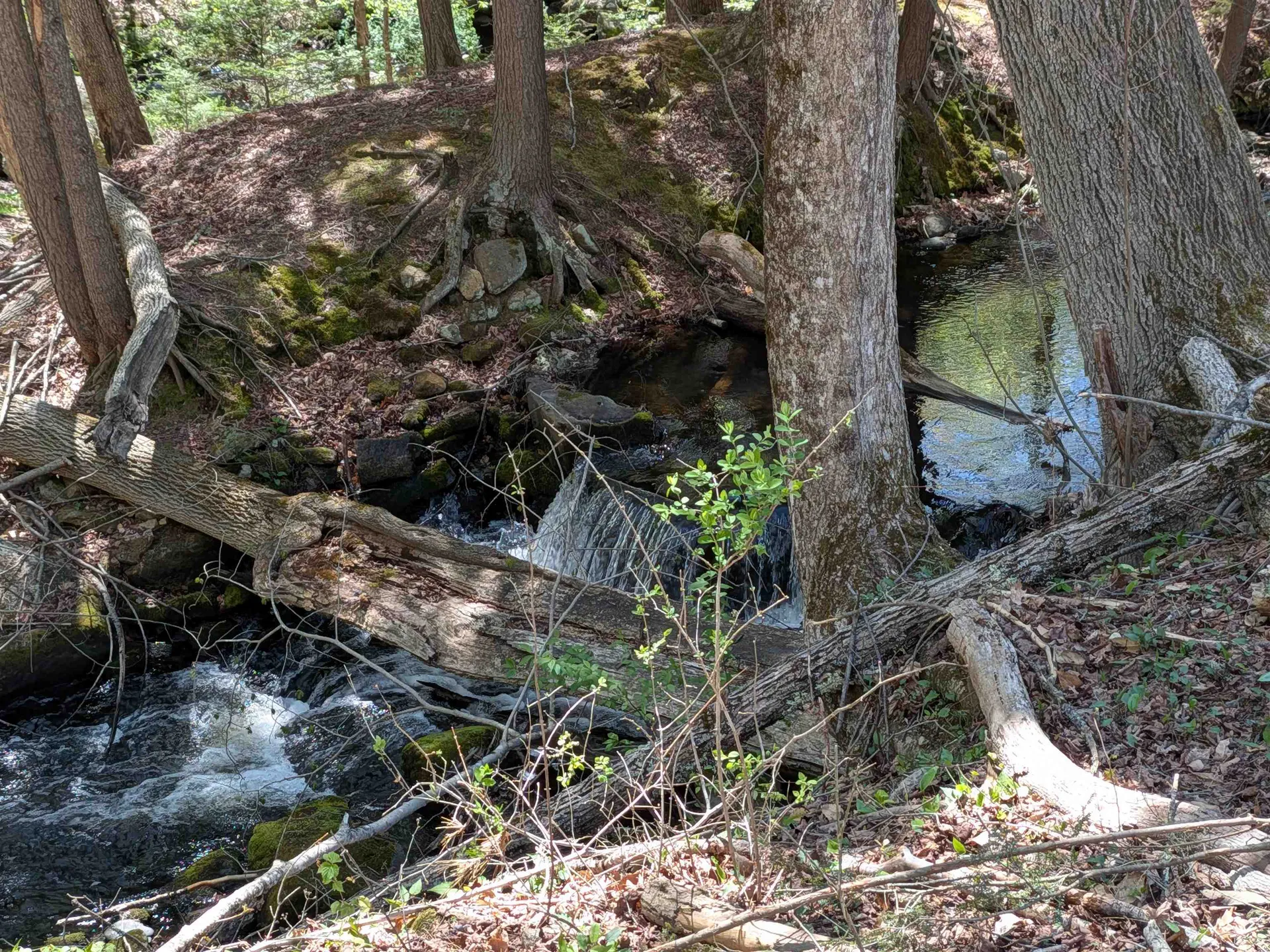 374 Burton Highway Wilton NH 03086