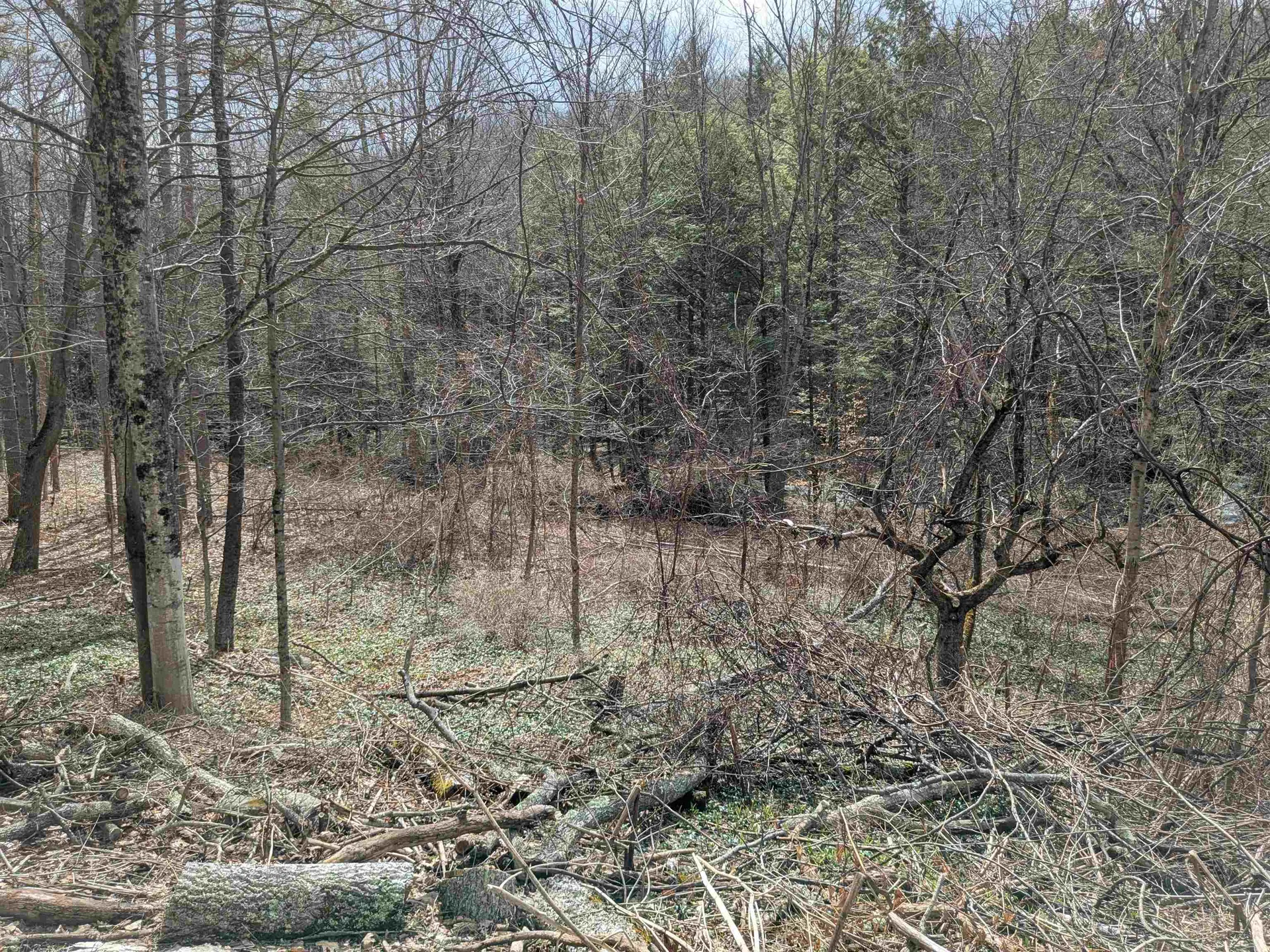 374 Burton Highway Wilton NH 03086