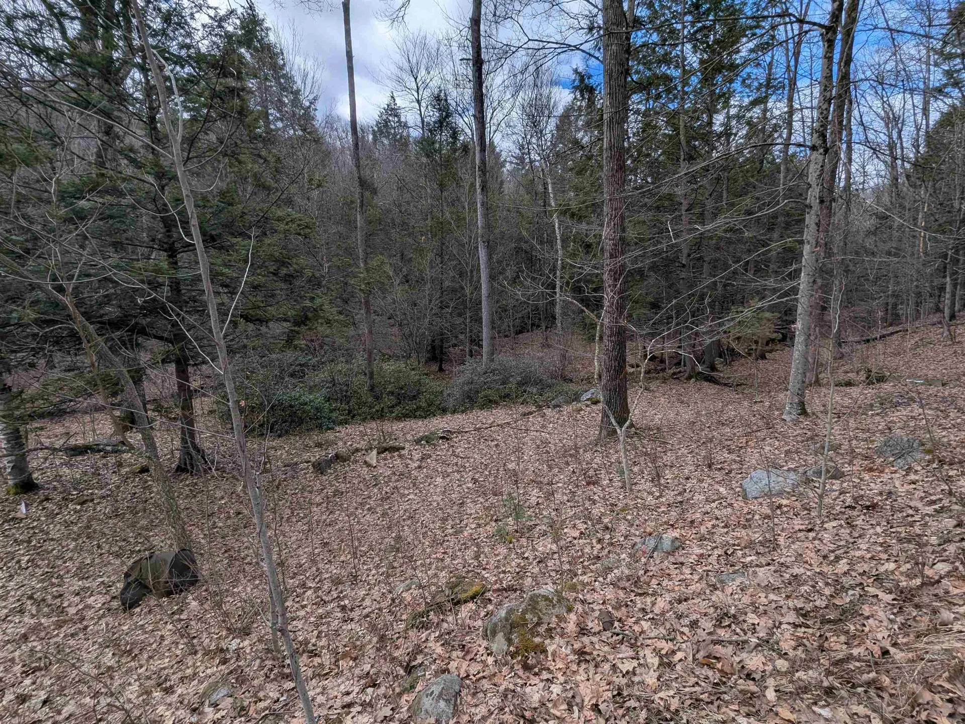 374 Burton Highway Wilton NH 03086