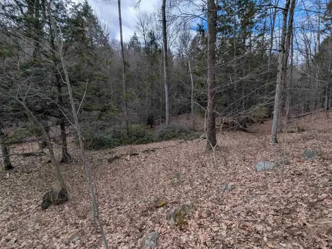 374 Burton Highway Wilton NH 03086