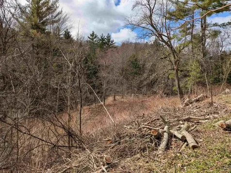 374 Burton Highway Wilton NH 03086