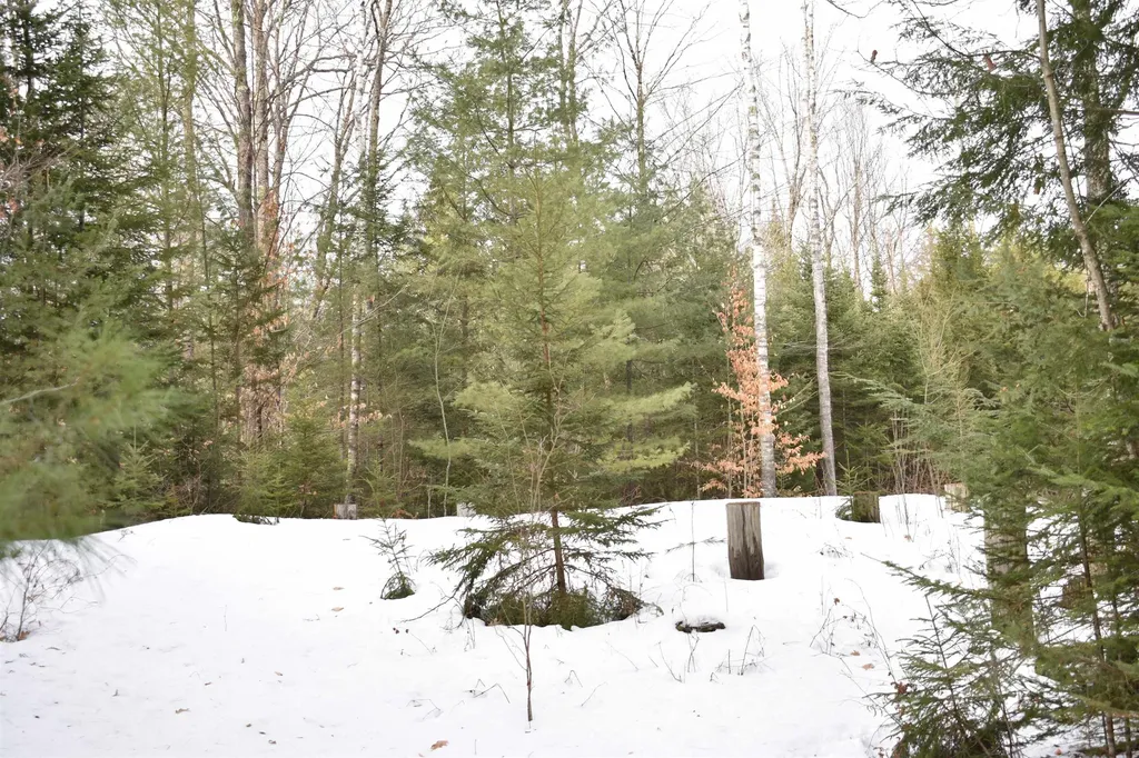 00 Stimson Road Warren NH 03279