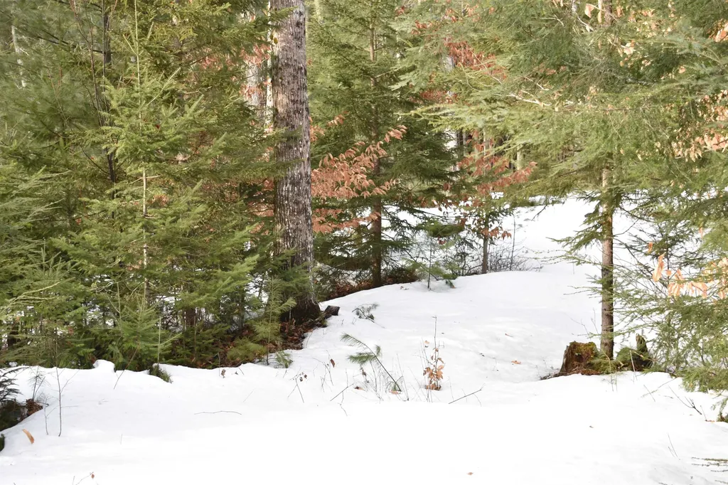 00 Stimson Road Warren NH 03279