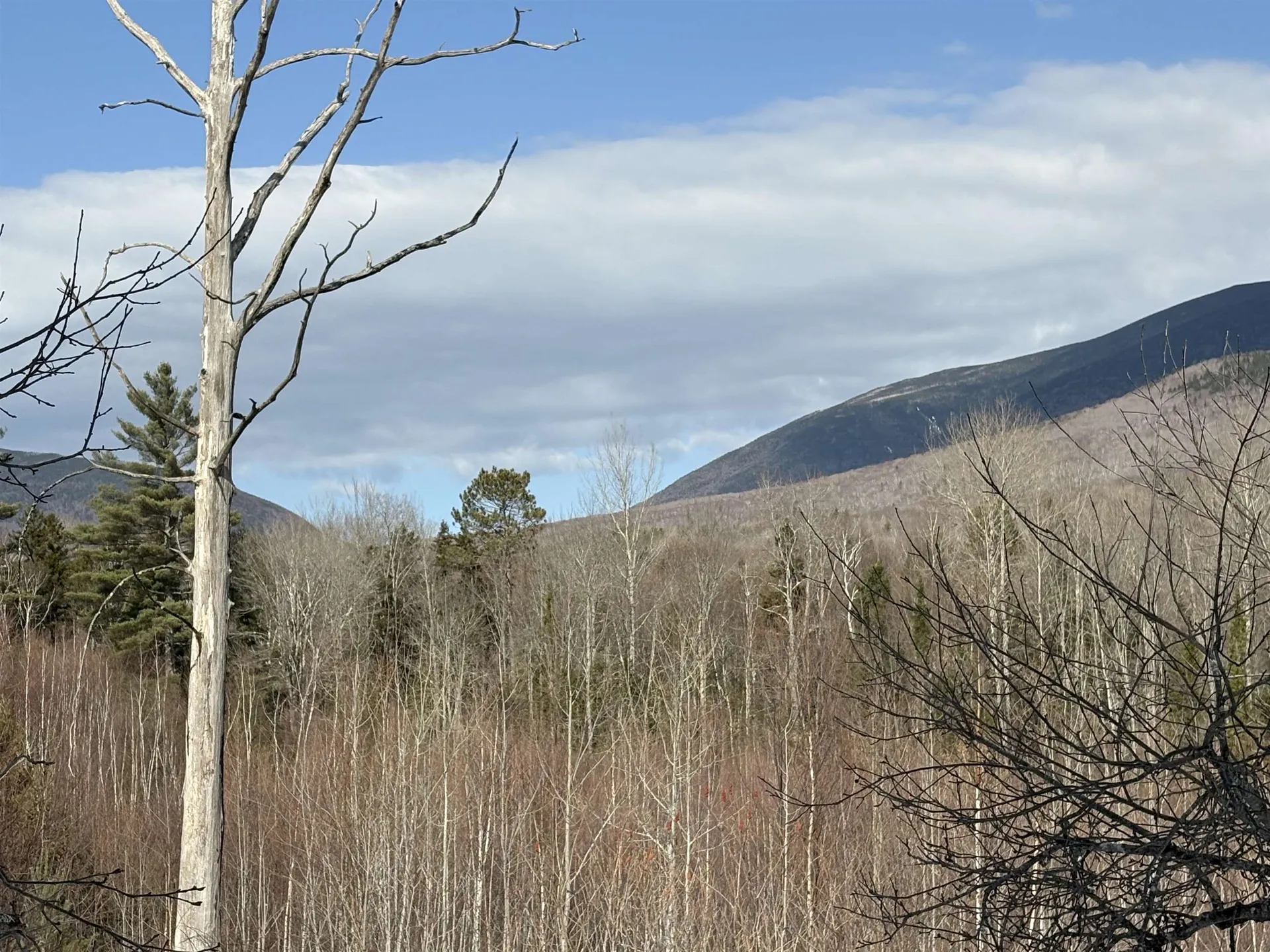00 Stimson Road Warren NH 03279
