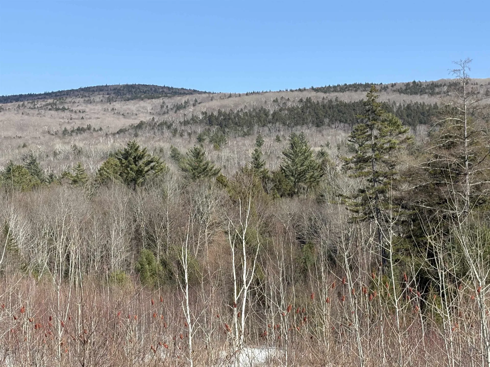00 Stimson Road Warren NH 03279