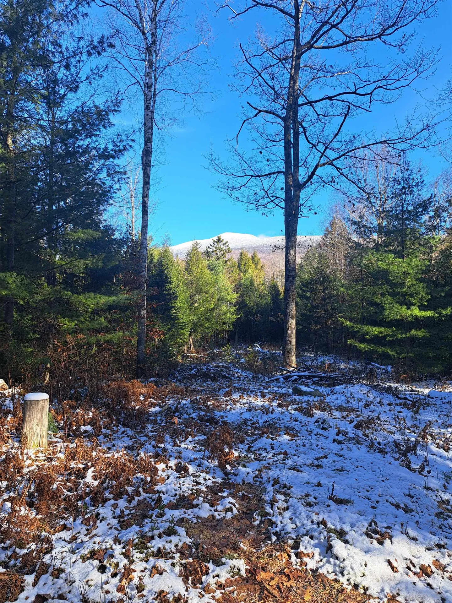 00 Stimson Road Warren NH 03279