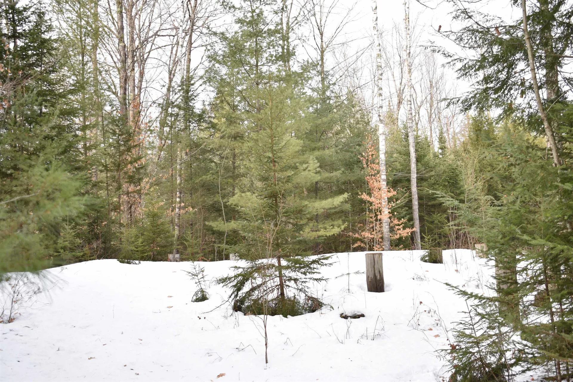 00 Stimson Road Warren NH 03279