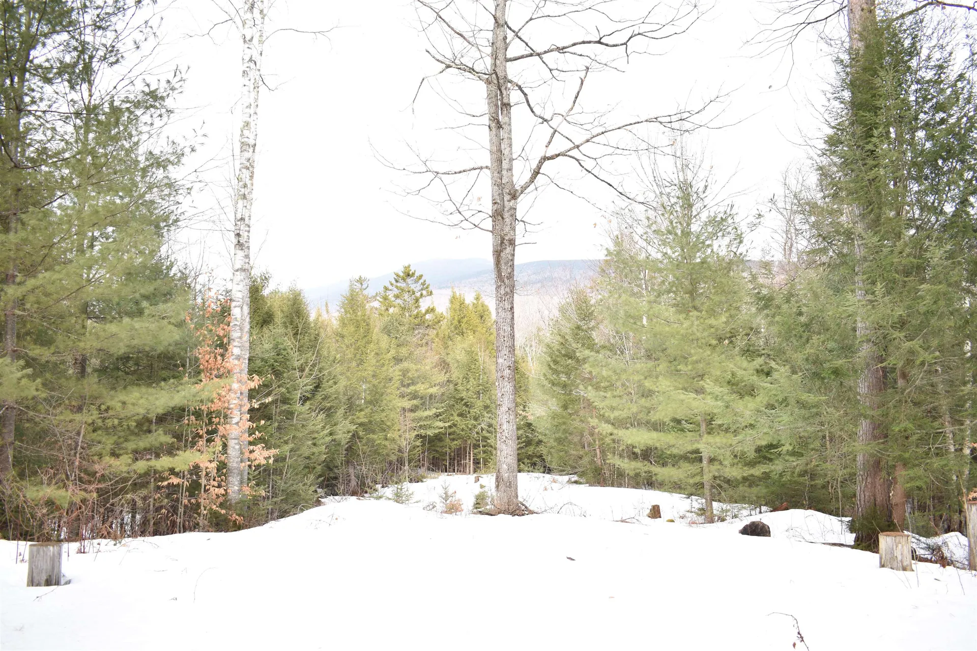 00 Stimson Road Warren NH 03279