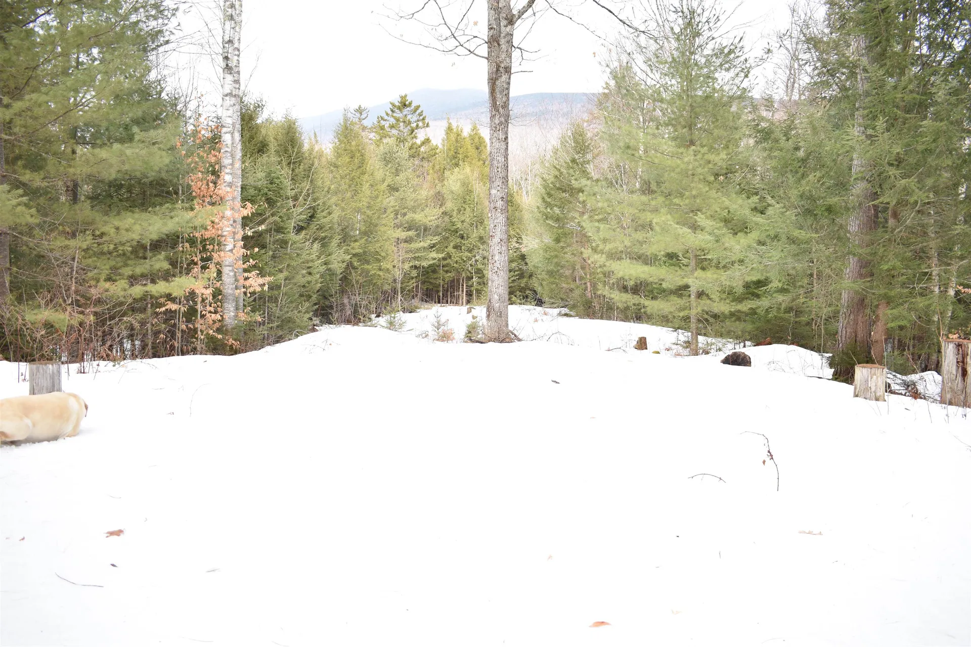 00 Stimson Road Warren NH 03279