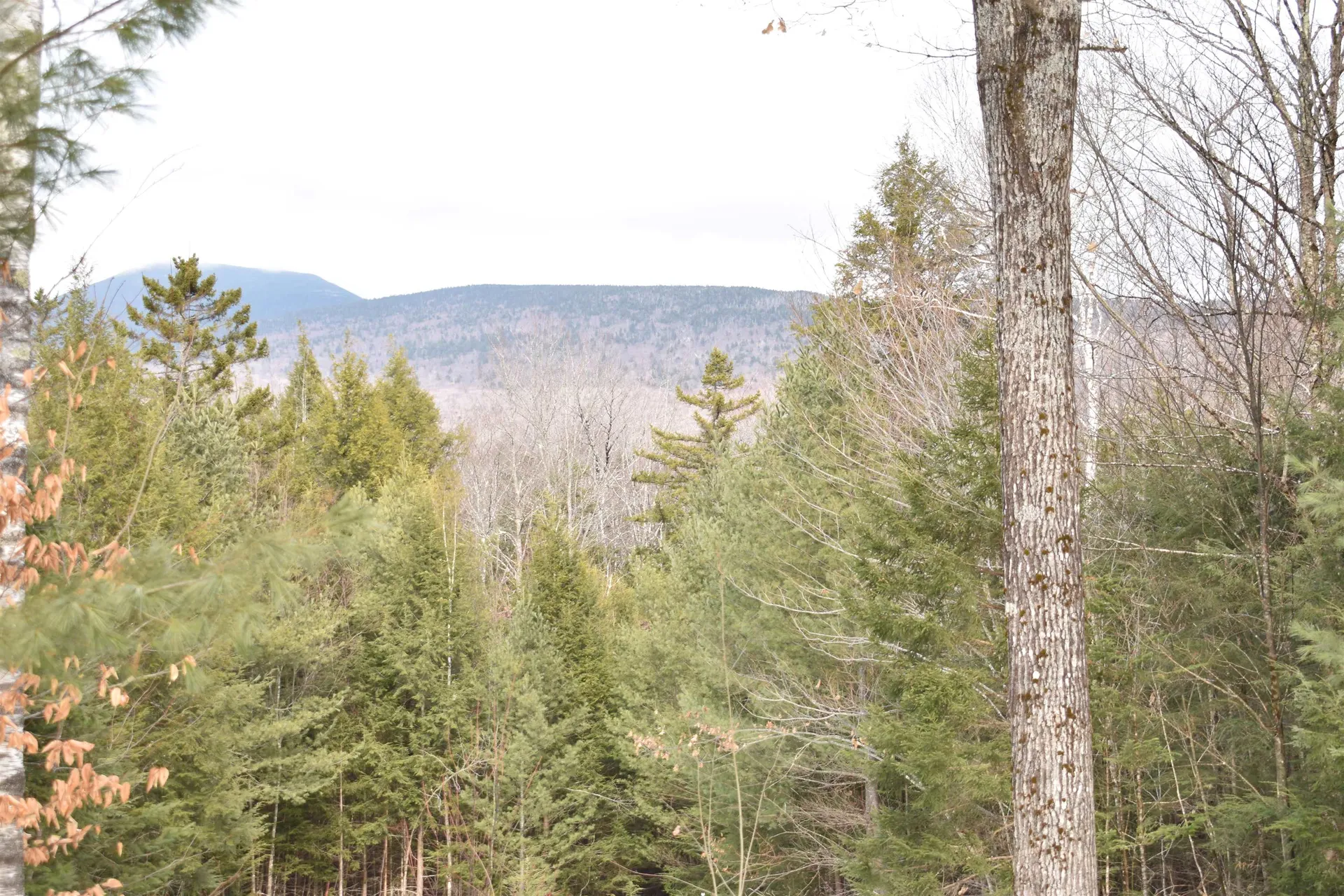 00 Stimson Road Warren NH 03279
