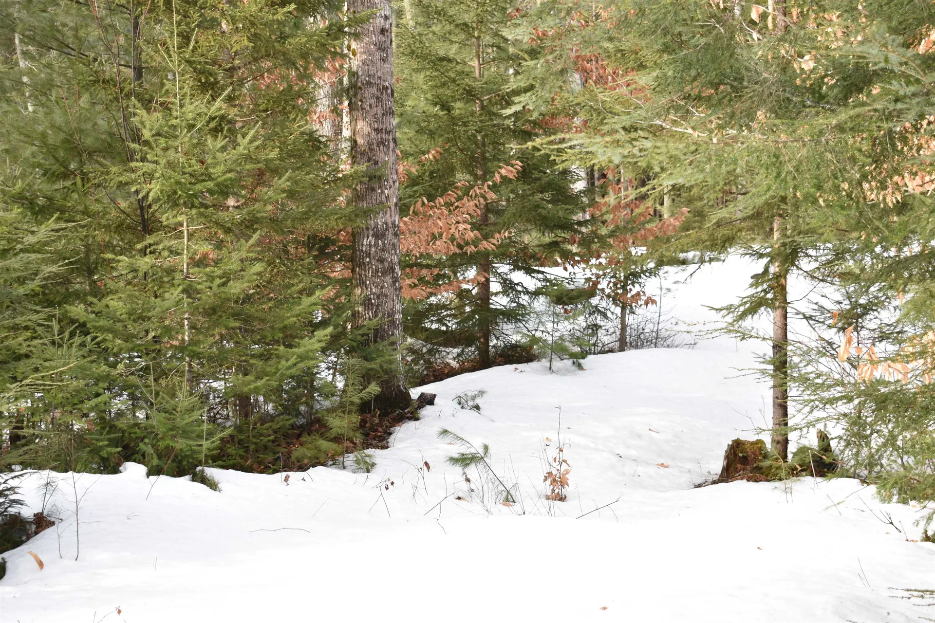 00 Stimson Road Warren NH 03279