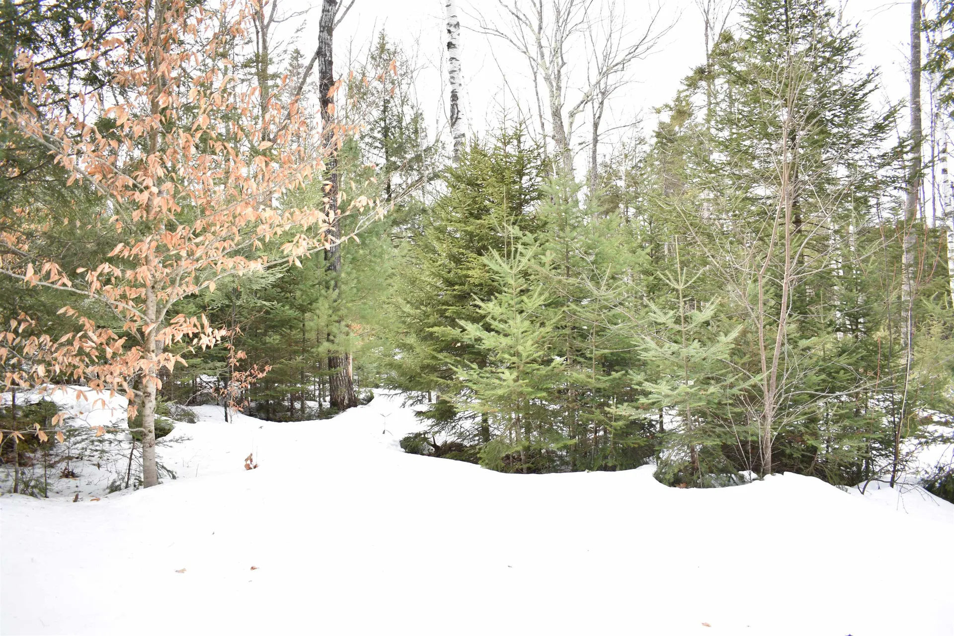 00 Stimson Road Warren NH 03279