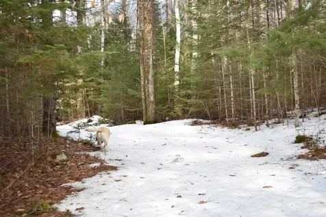 00 Stimson Road Warren NH 03279