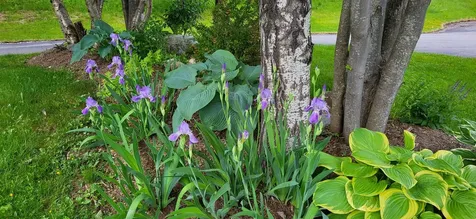 4 Pierre Road Stewartstown NH 03597