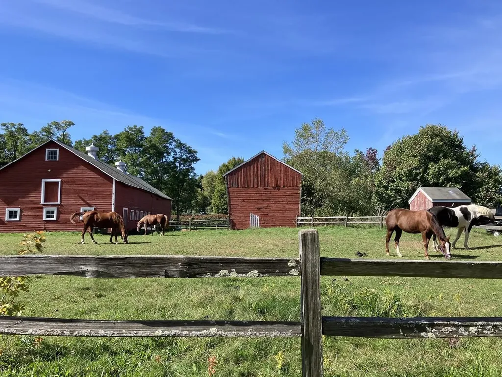 75 Cumberland Road Burlington VT 05408