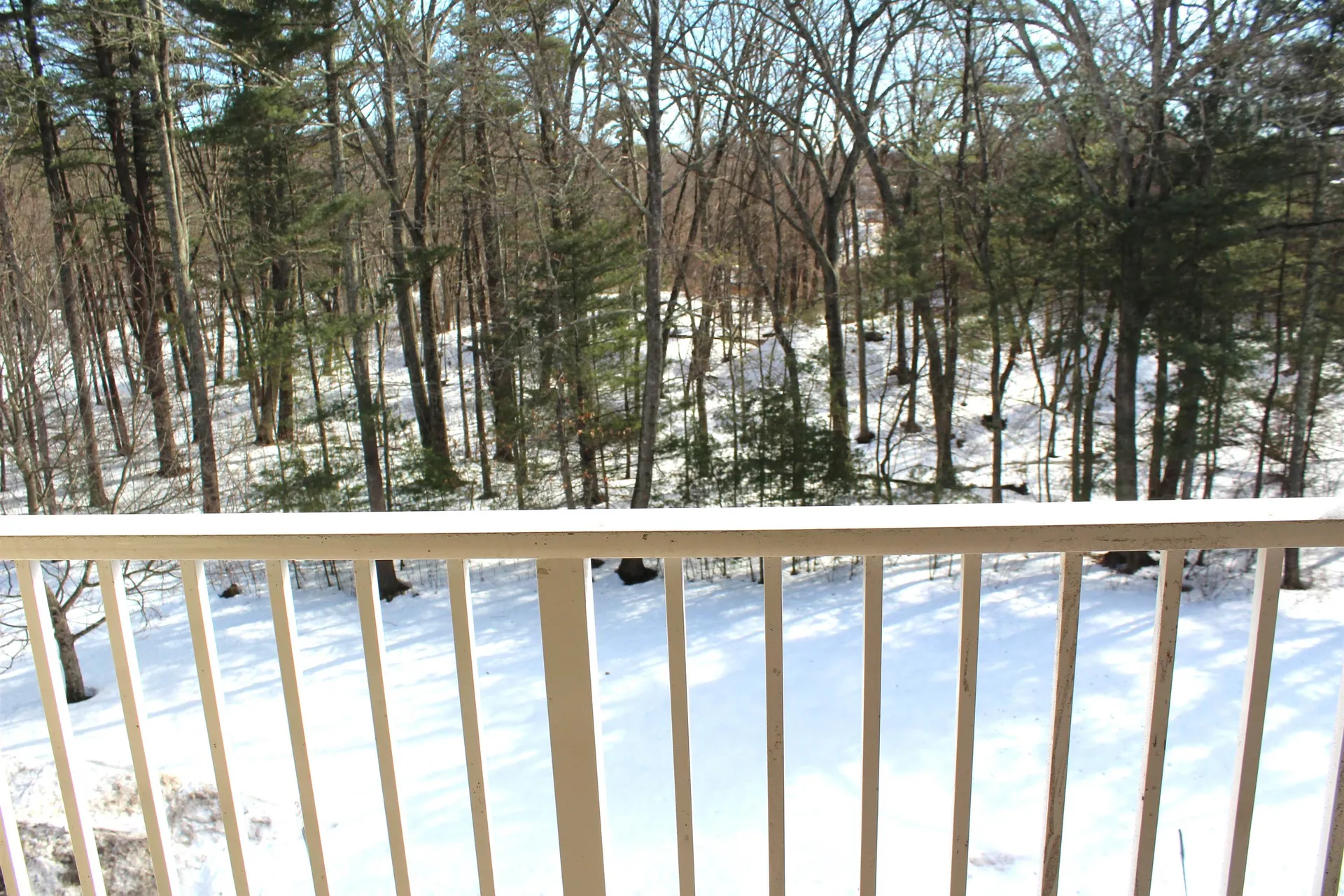 59 Cluff Road Salem NH 03079