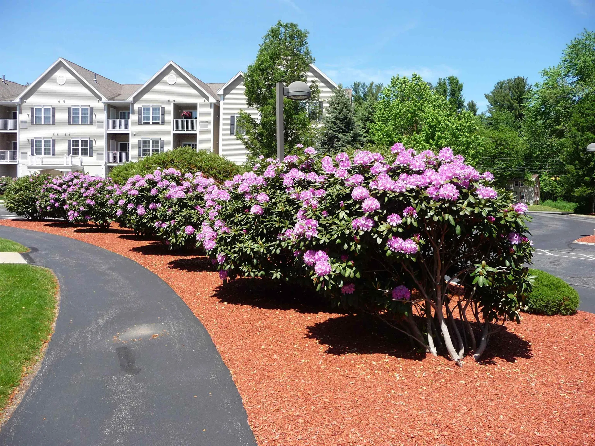 59 Cluff Road Salem NH 03079