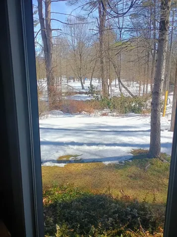40 Brookside Drive Brattleboro VT 05301
