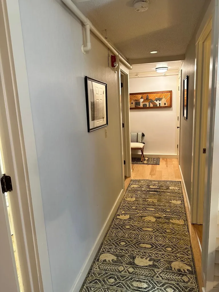 199 Mountainside Drive Stowe VT 05672