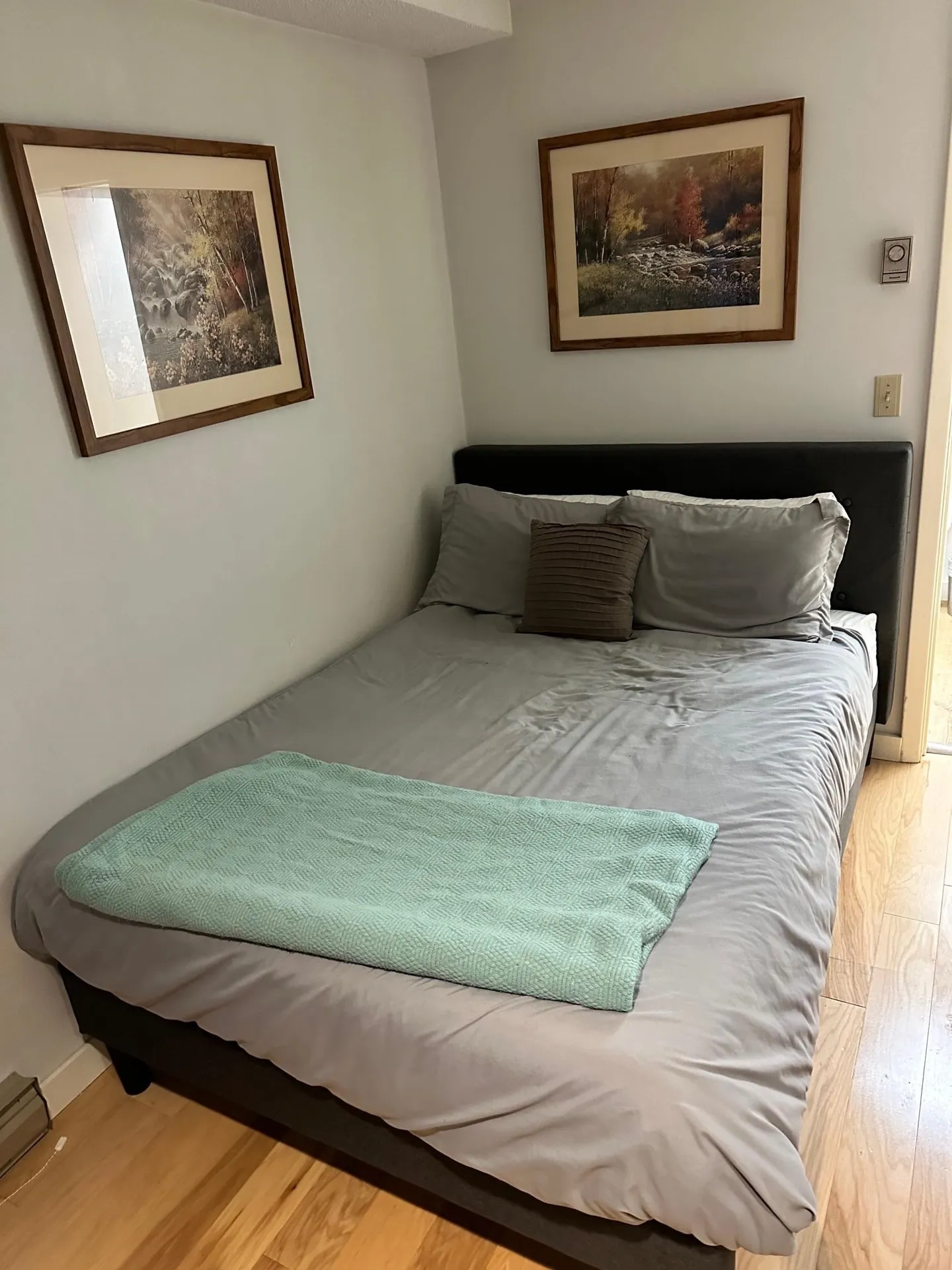 199 Mountainside Drive Stowe VT 05672