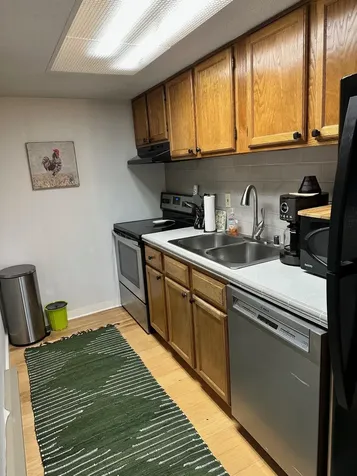 199 Mountainside Drive Stowe VT 05672