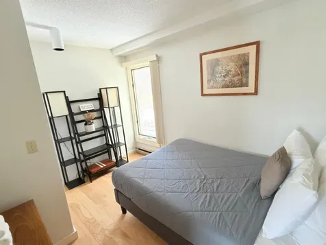 199 Mountainside Drive Stowe VT 05672