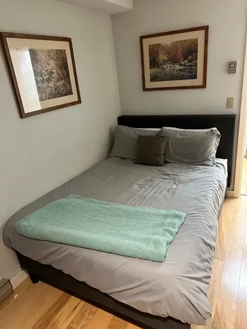 199 Mountainside Drive Stowe VT 05672