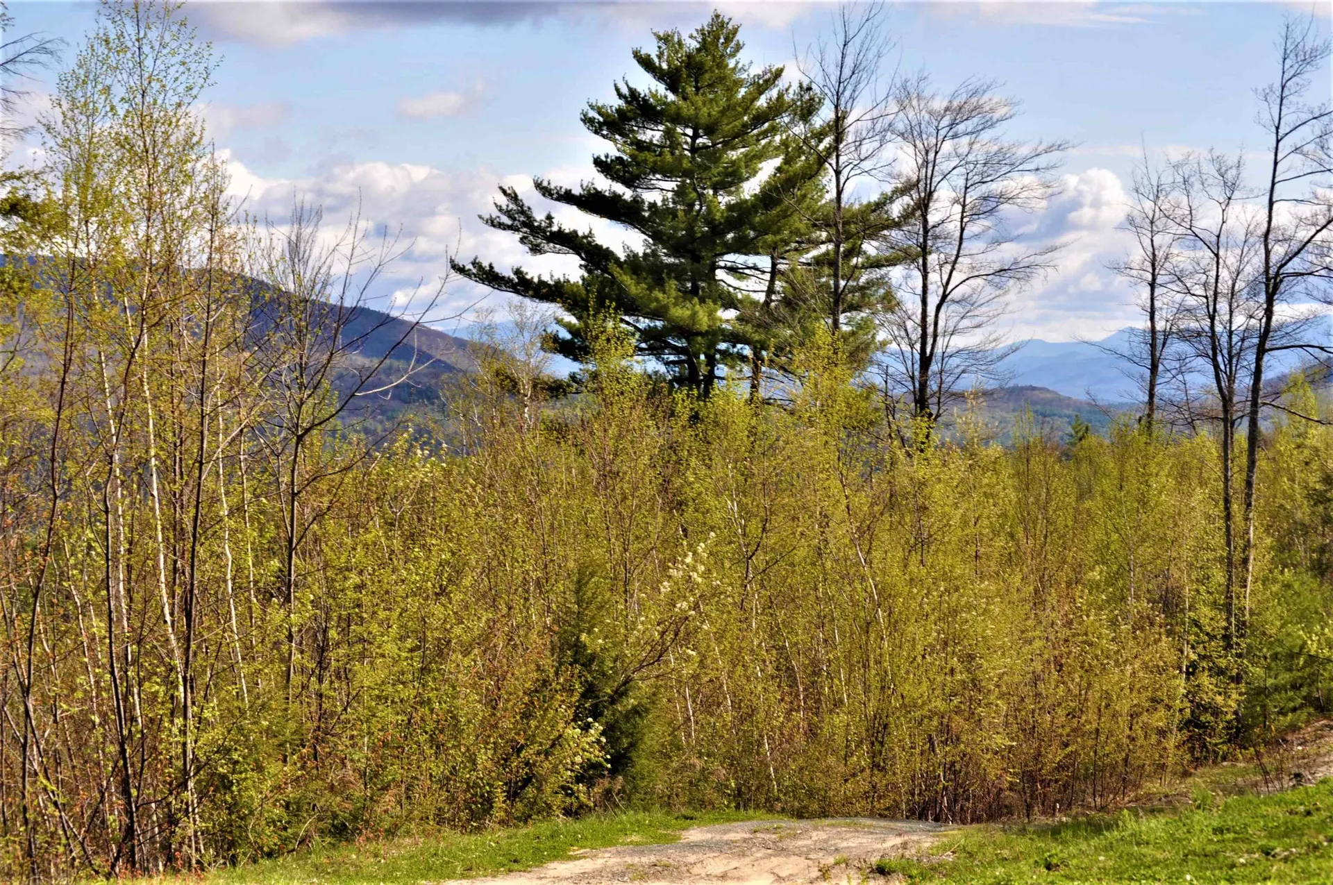 High Cliffs Circle And Skyline Drive Hebron NH 03241
