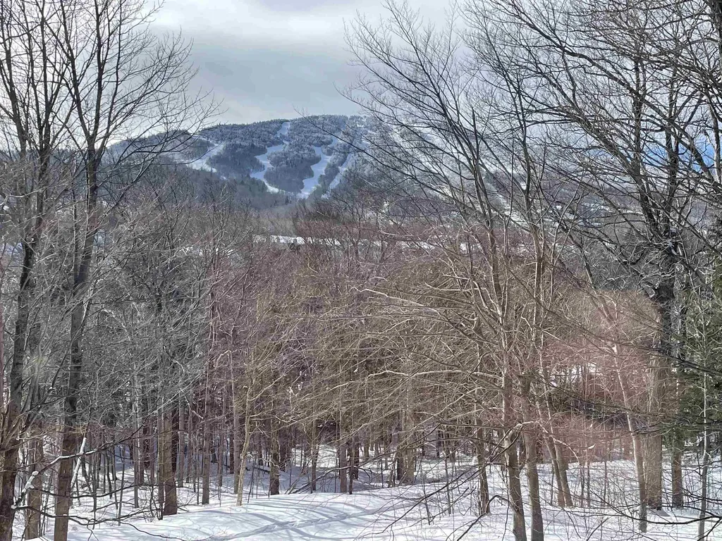 75 East Birch Road Stratton VT 05155