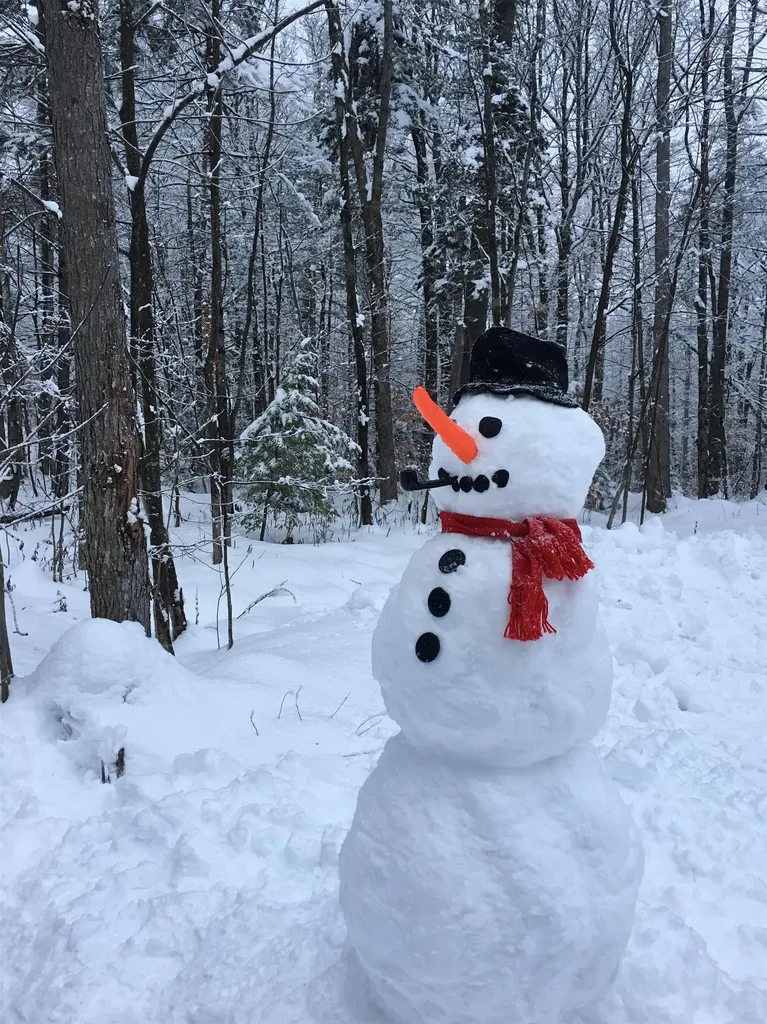 75 East Birch Road Stratton VT 05155