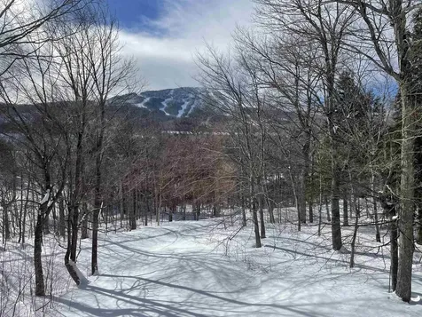 75 East Birch Road Stratton VT 05155