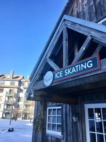 75 East Birch Road Stratton VT 05155