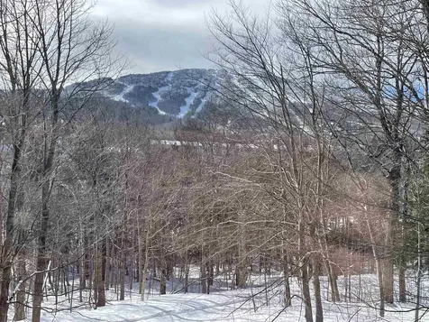 75 East Birch Road Stratton VT 05155