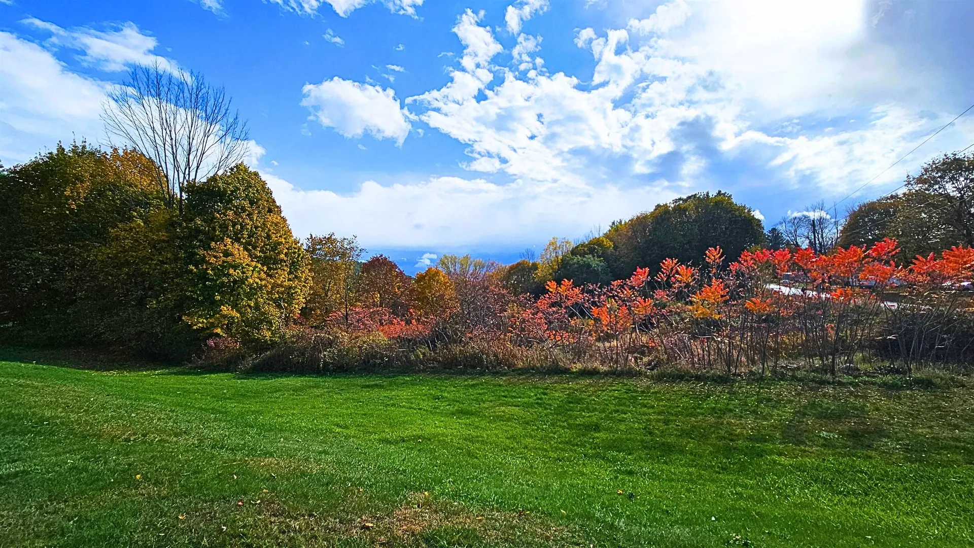 215 Elm Hill Street Springfield VT 05156