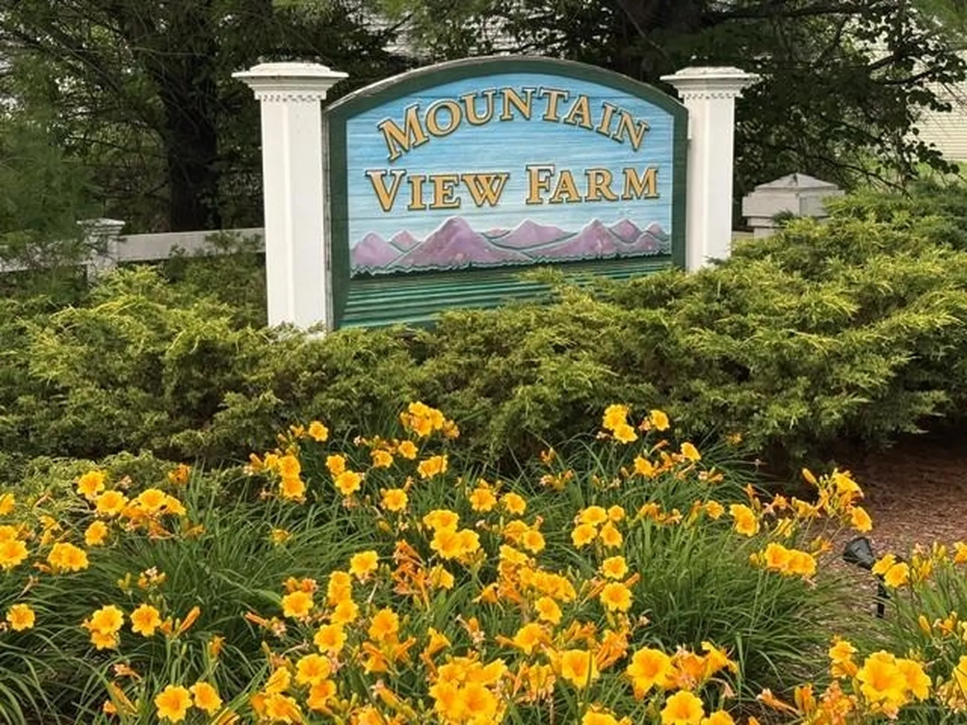 18-B Wildflower Lane Plymouth NH 03264