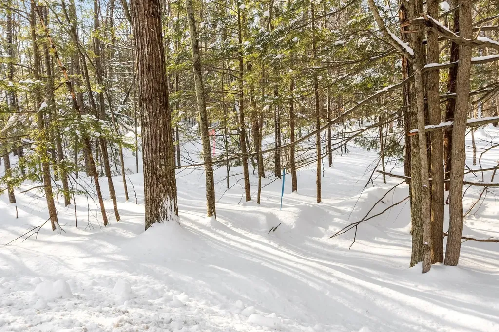 0-3 Kendall Hill Road Mont Vernon NH 03057