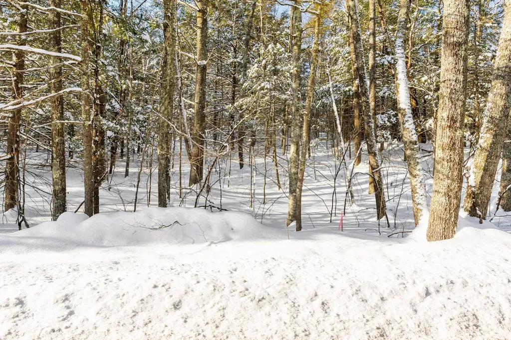 0-3 Kendall Hill Road Mont Vernon NH 03057