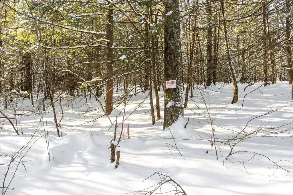 0-3 Kendall Hill Road Mont Vernon NH 03057