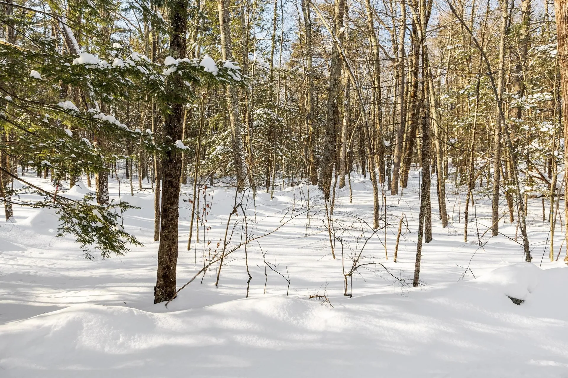 0-3 Kendall Hill Road Mont Vernon NH 03057