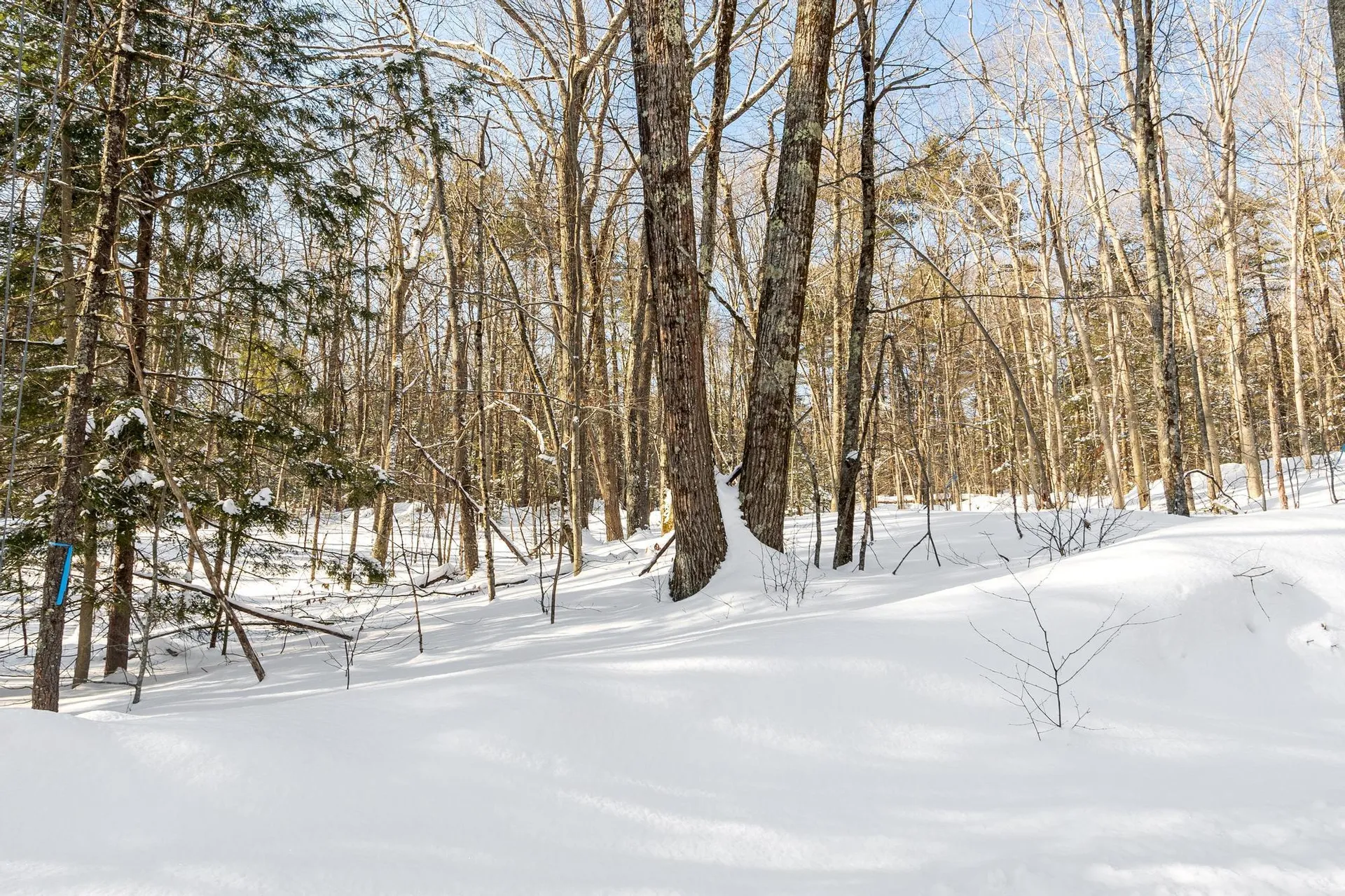 0-3 Kendall Hill Road Mont Vernon NH 03057