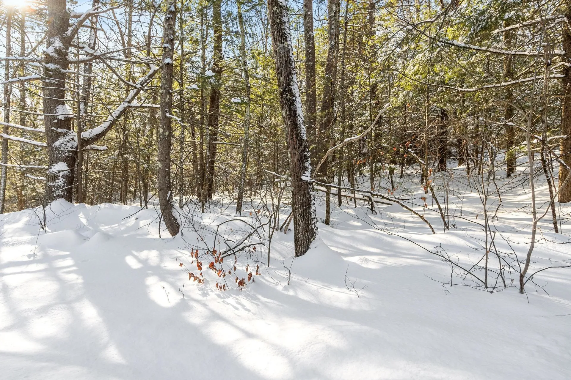 0-2 Kendall Hill Road Mont Vernon NH 03057