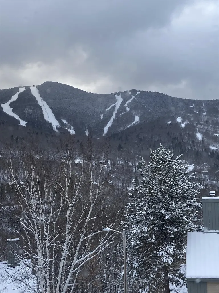 27 Ravine Lane Lincoln NH 03251